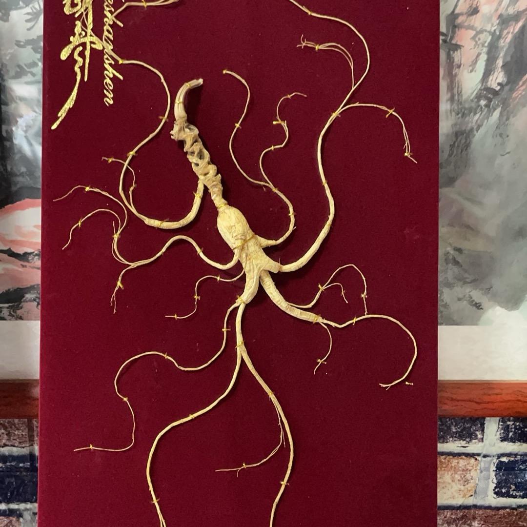 长白山源头滋补