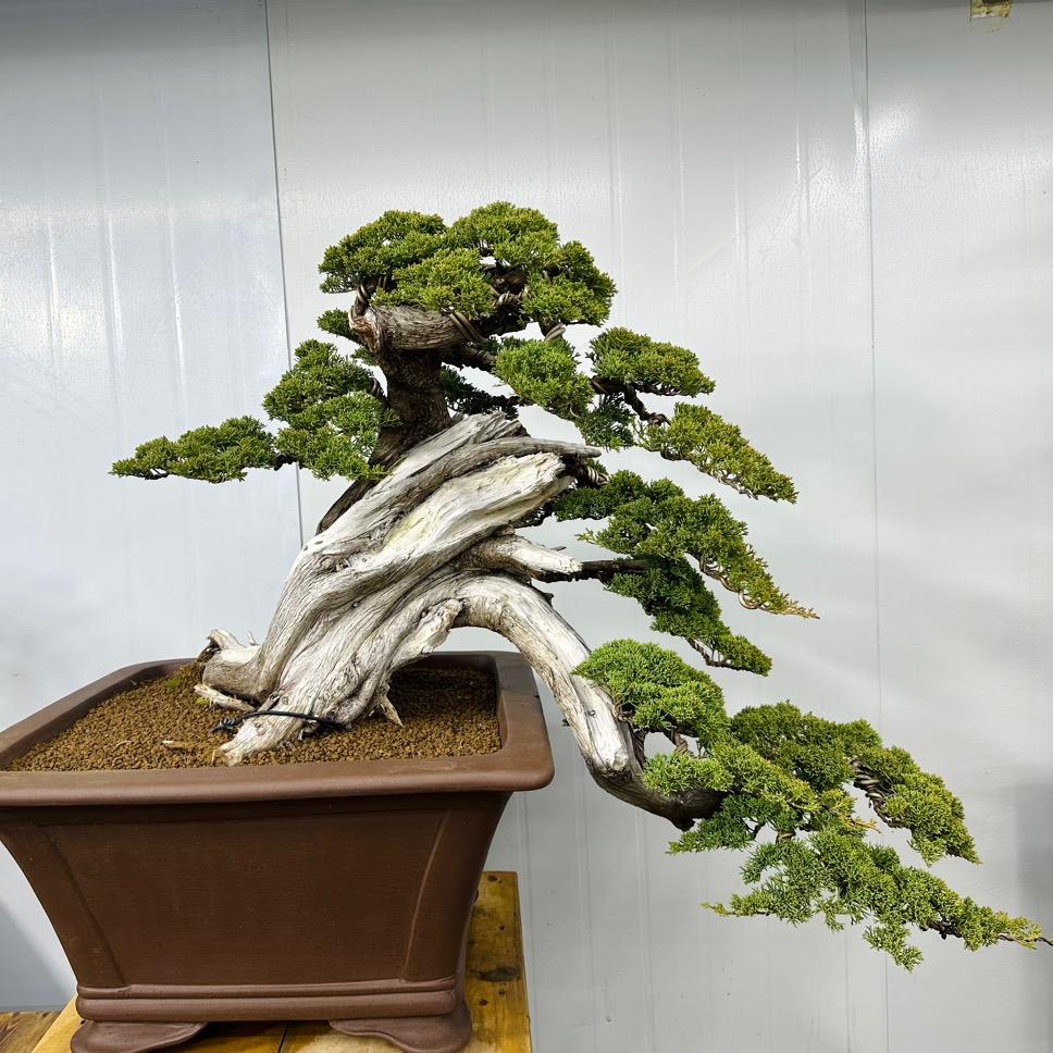 澜山盆景园林