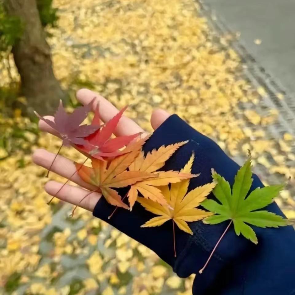 王思允🍒