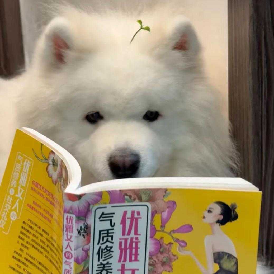 一瓶花生露