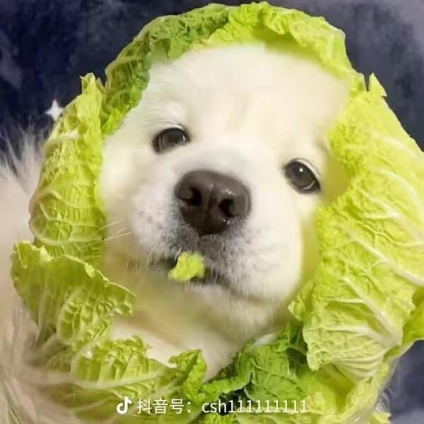 三只小熊儿童家居