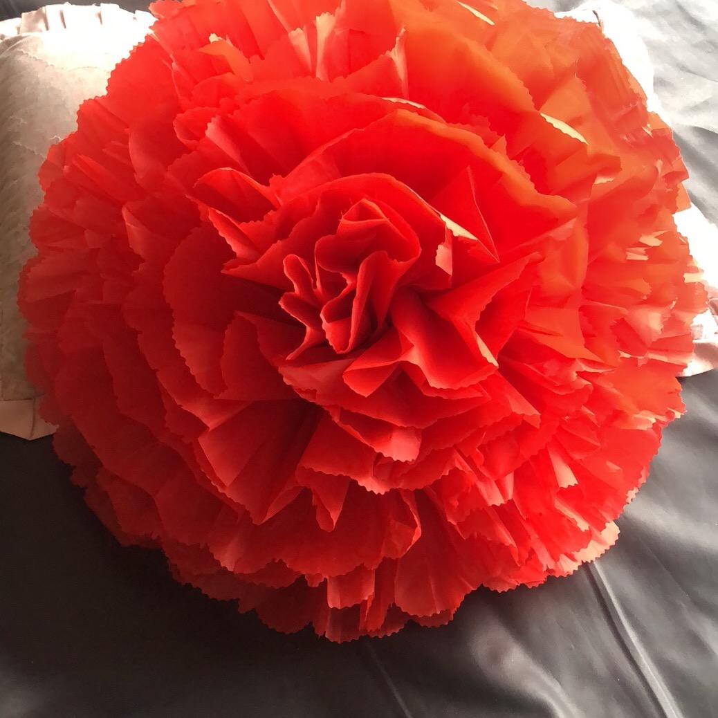 相信明天。A批发元宝大红花