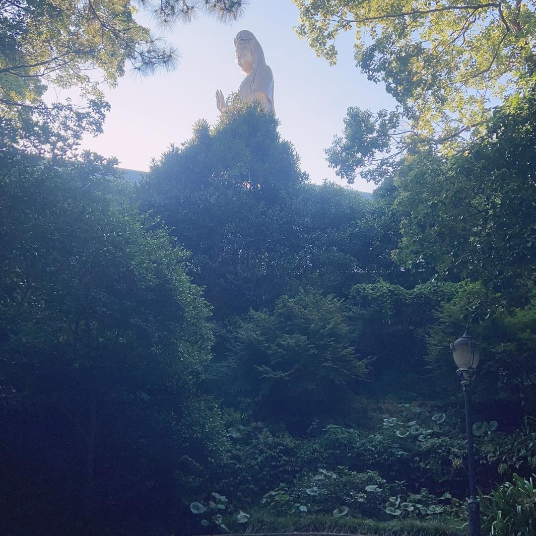 新合芮名