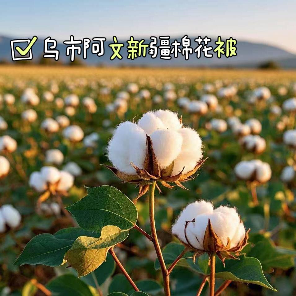 乌市阿文新疆棉花被