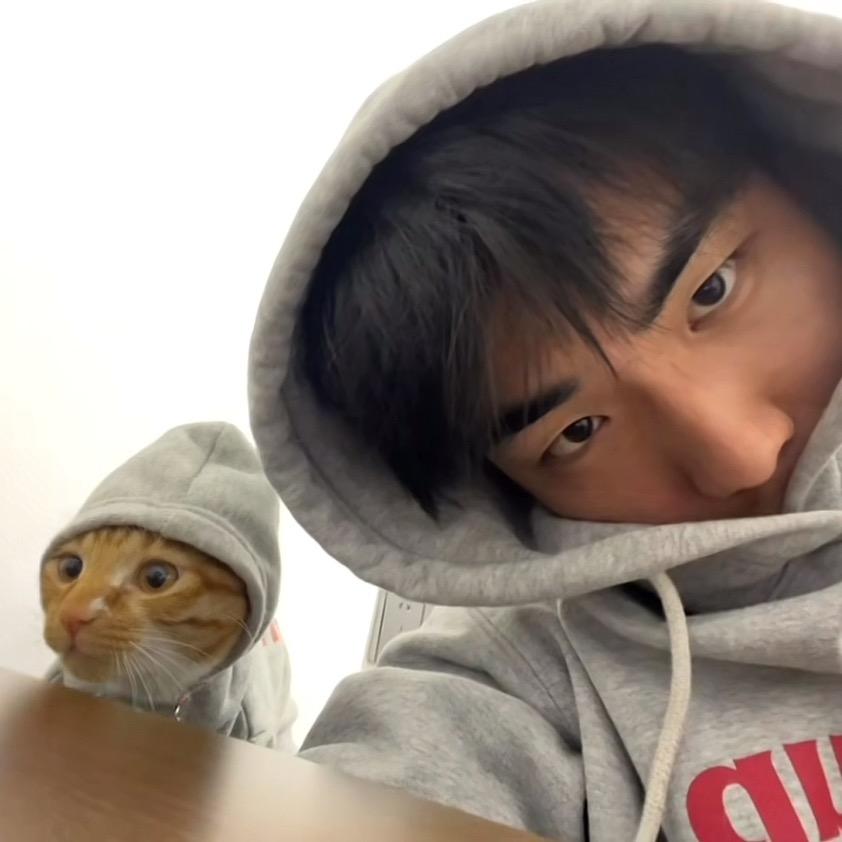 三告不念浩