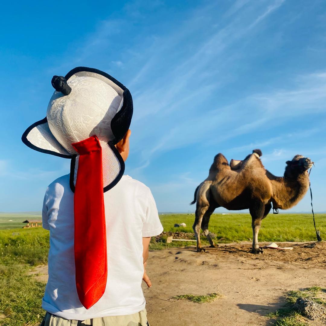 草原上的金帐篷