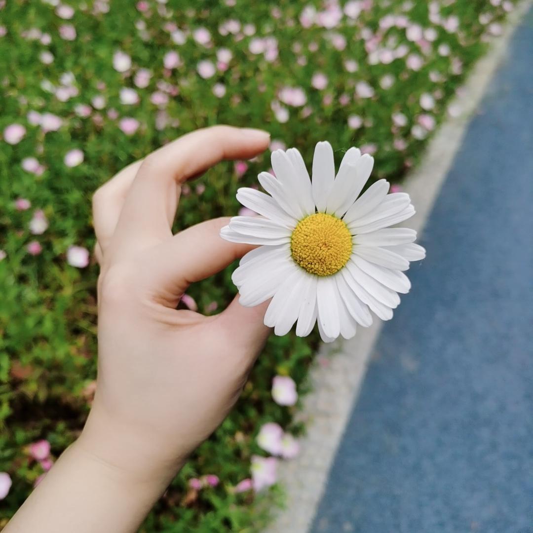 忆往昔٩(๑^o^๑)۶