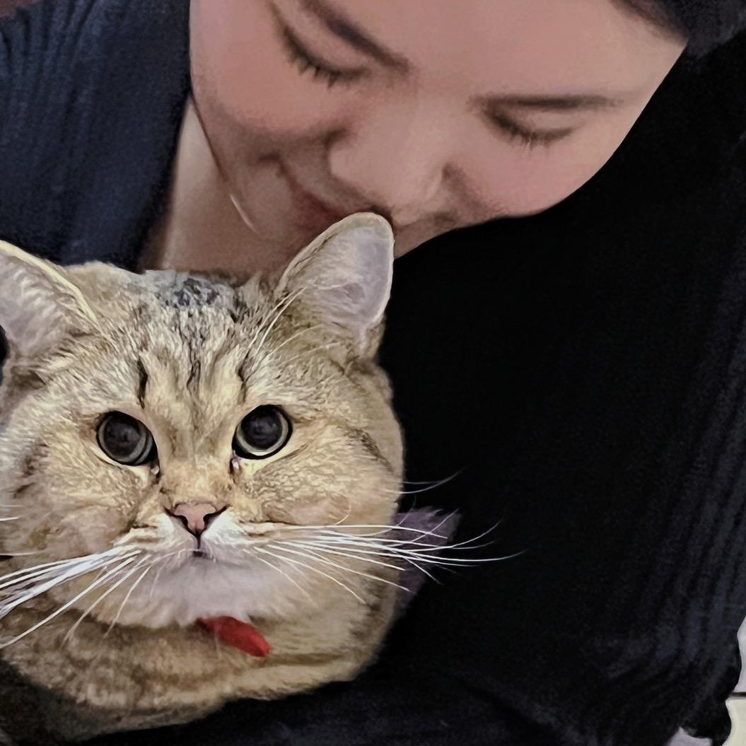 石来运转（馆陶店）