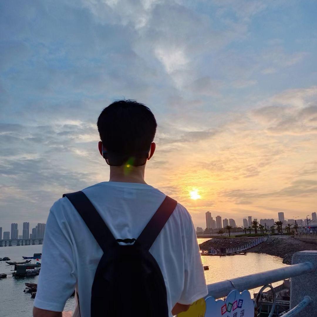 不会做梦的鲨鱼