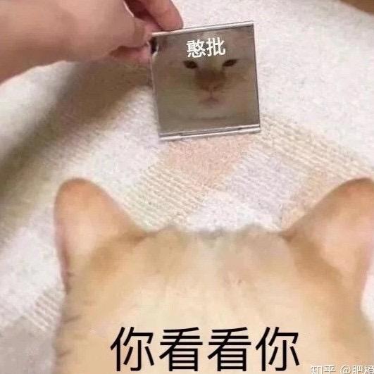 车见车爆胎🍭