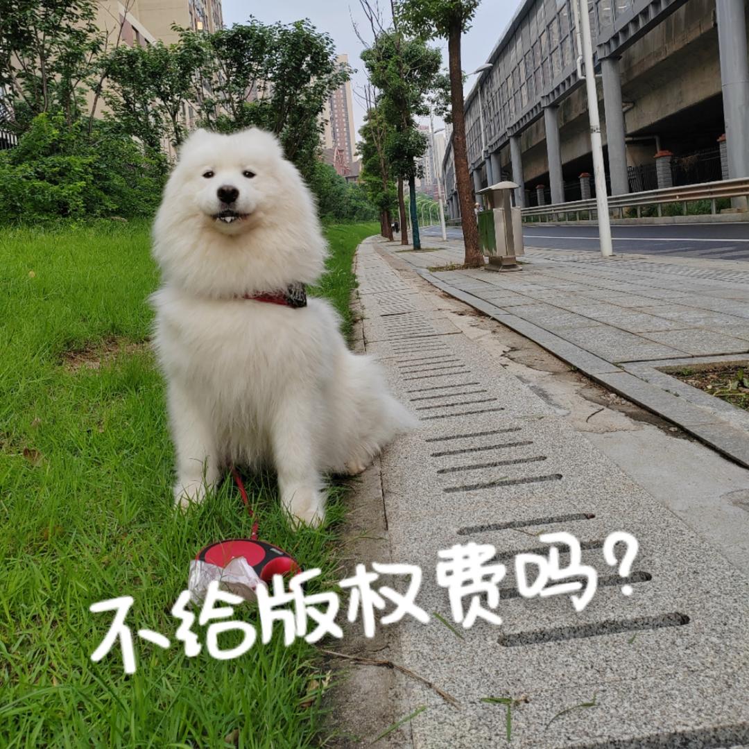 小二爸爸