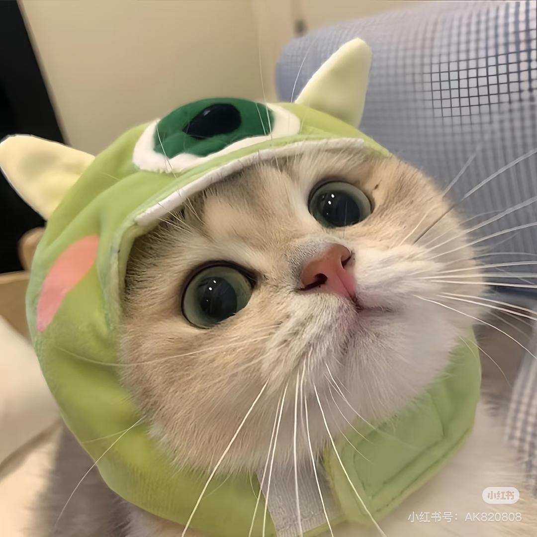 @Z让我看看