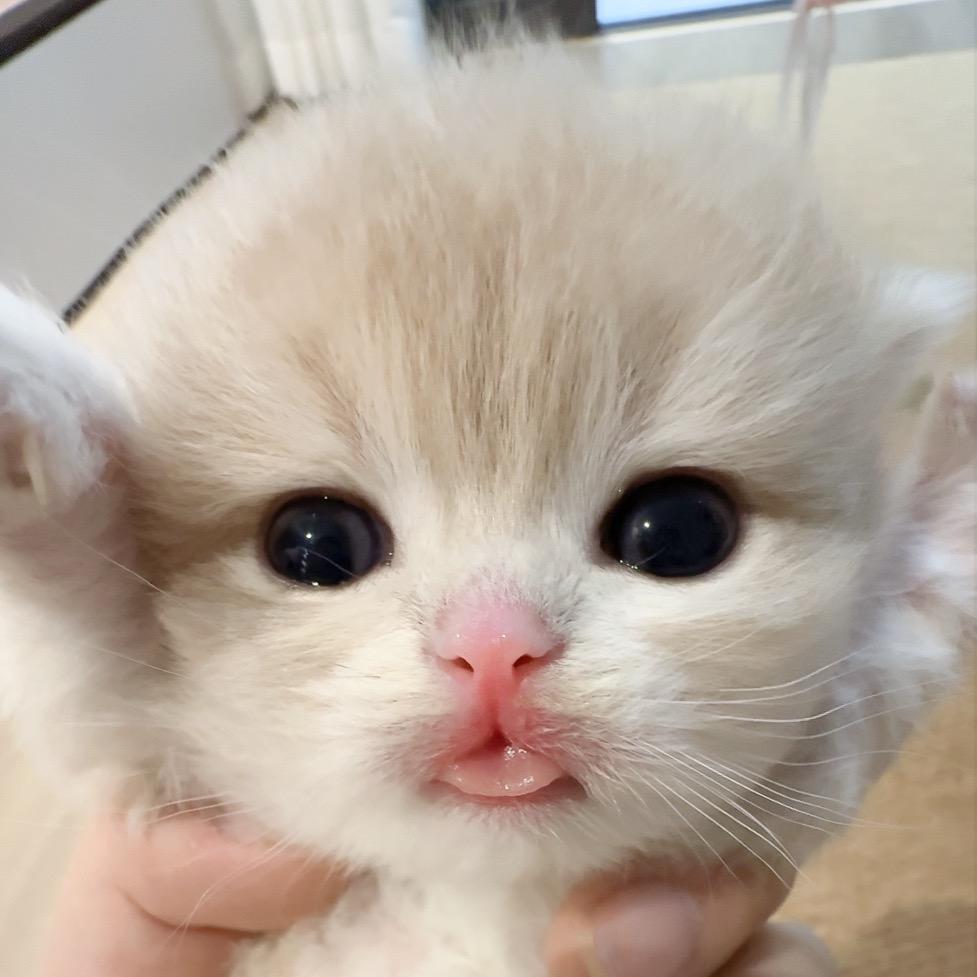 窝窝今天营业了吗