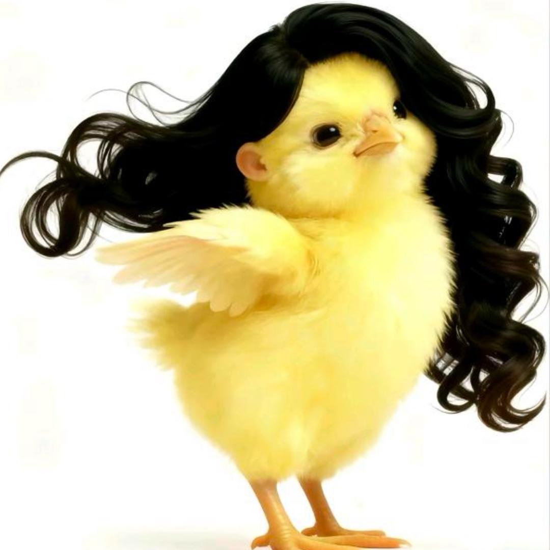 不要和我说奇奇怪怪的话