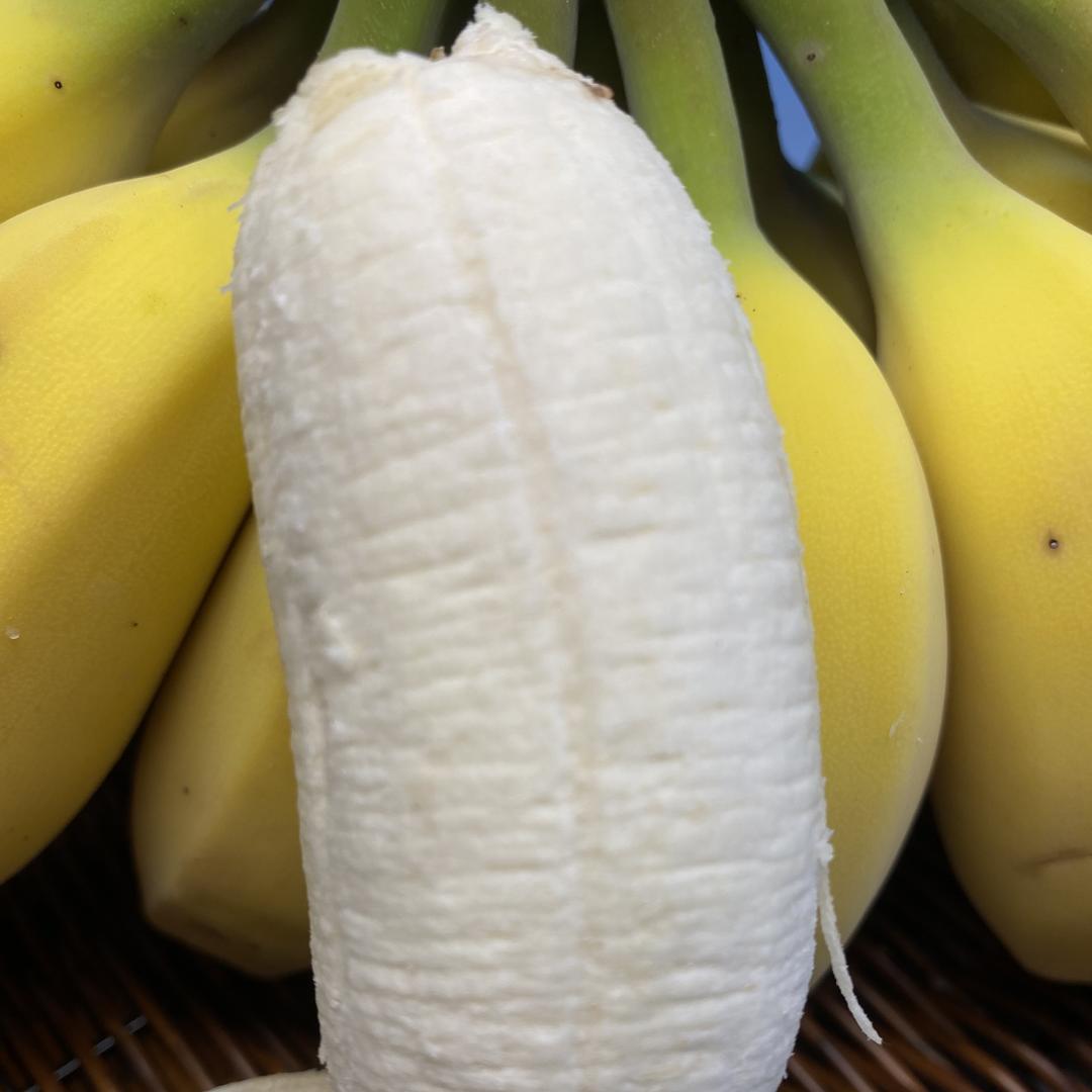 重庆徐冉教育臻选阁