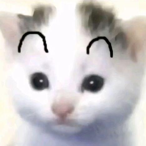 唧唧歪歪唧唧