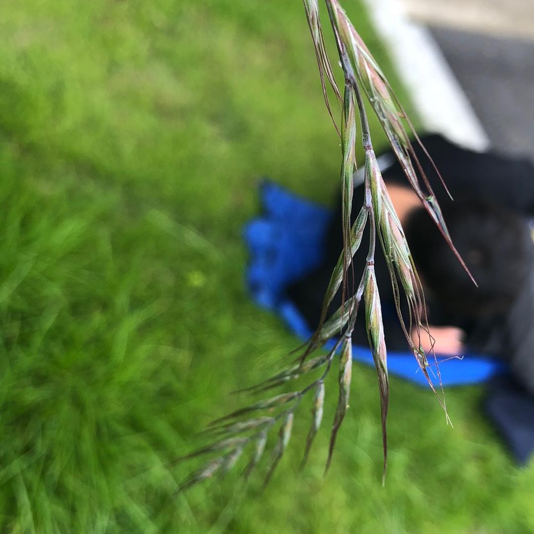 南城第一快_(:з」∠)_别急