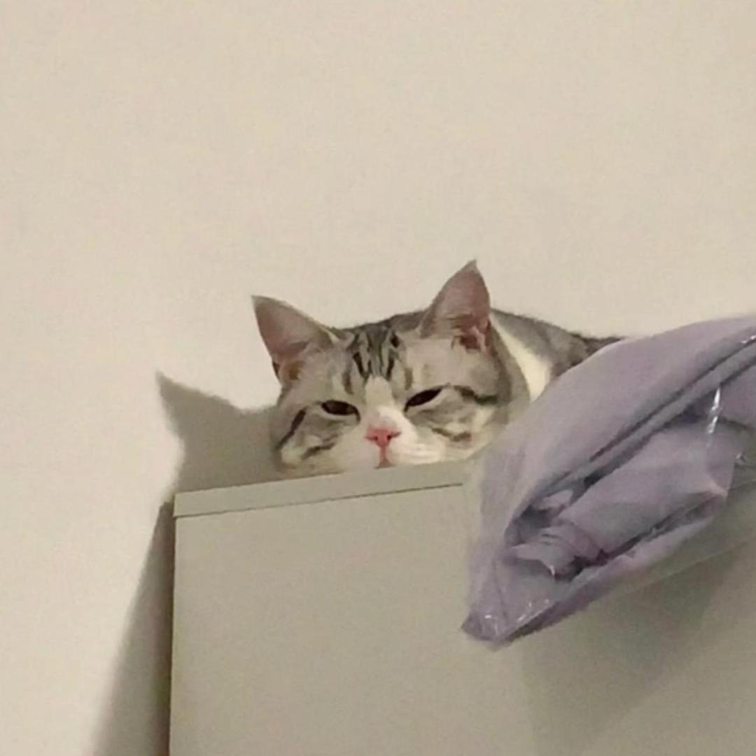 佰衣百顺