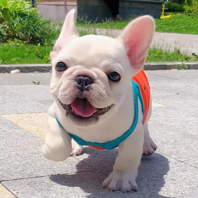 商道酬信🐶