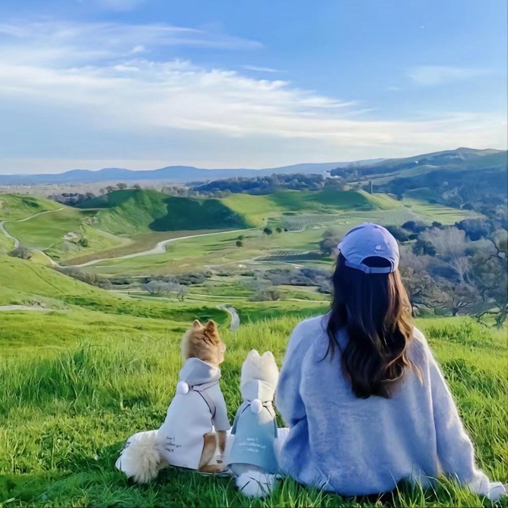 Aຼgon๊i꧔ꦿ᭄༉ᩚ