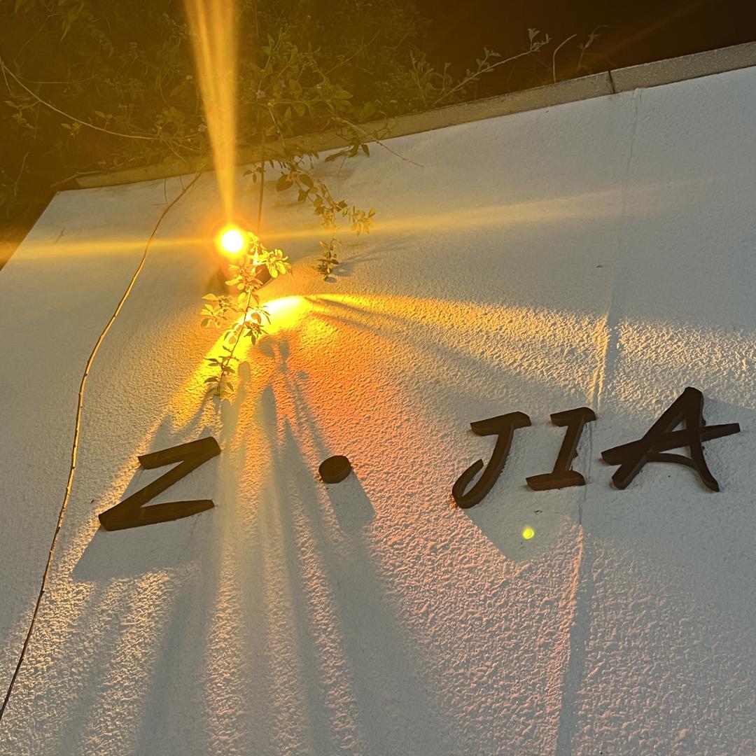 Z·JIA大码女装、女鞋集合店
