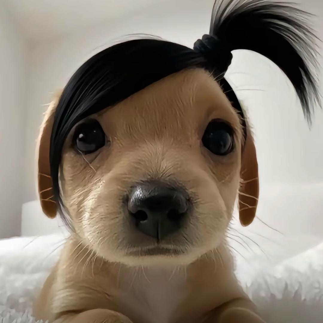 崔崔^