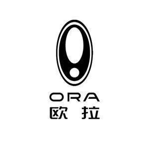 欧拉汽车宁波天天