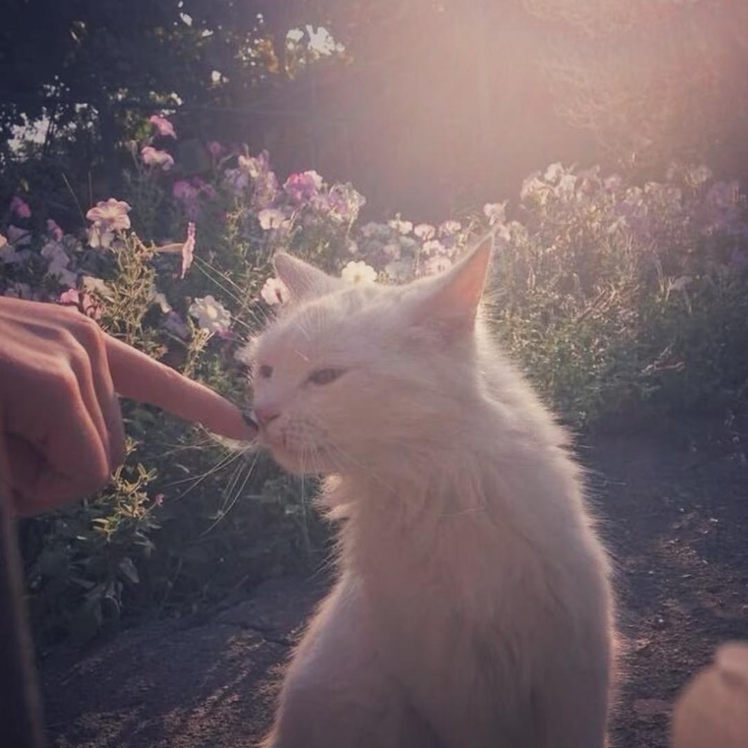 湉^
