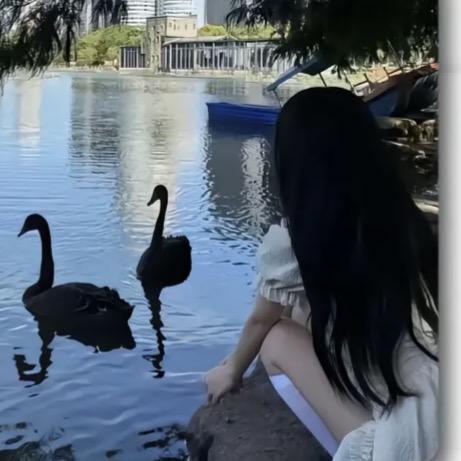 ✨: