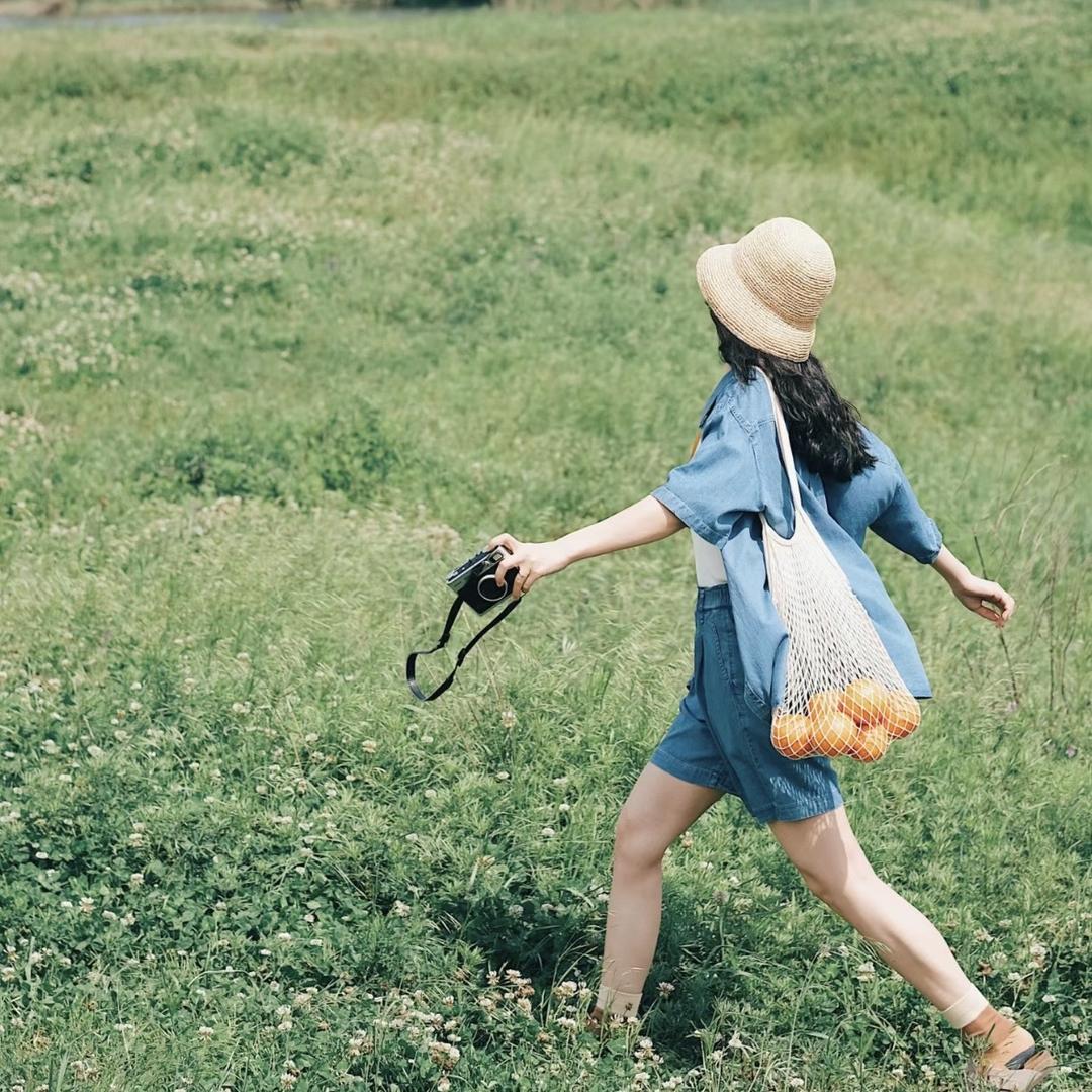 石九线｜每周组队