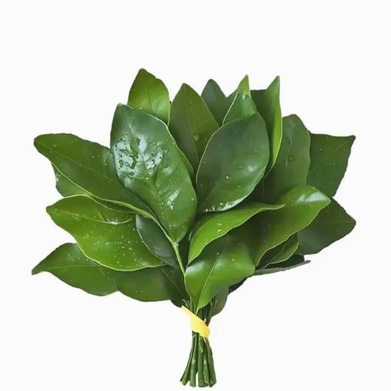시운