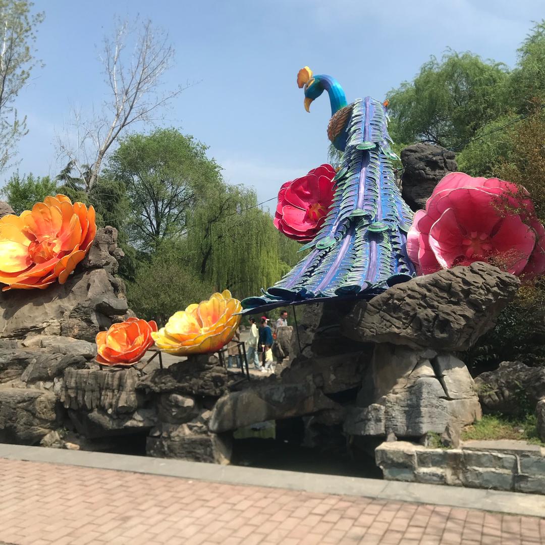 开心越来越好💕💕