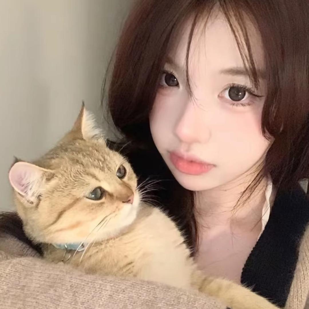 一只嬛嬛嬛