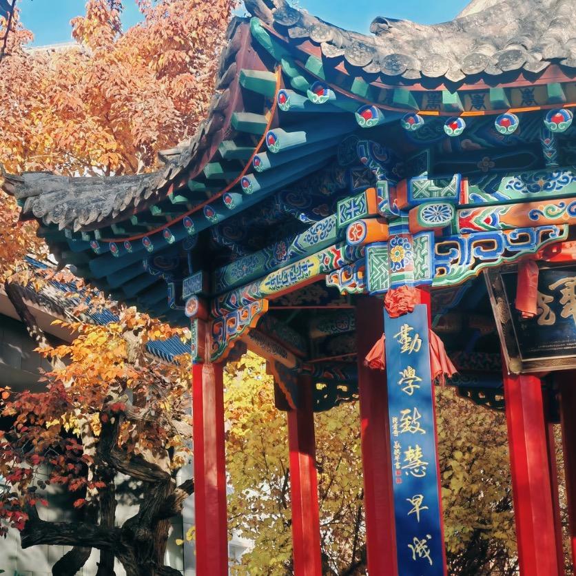 青春贵中