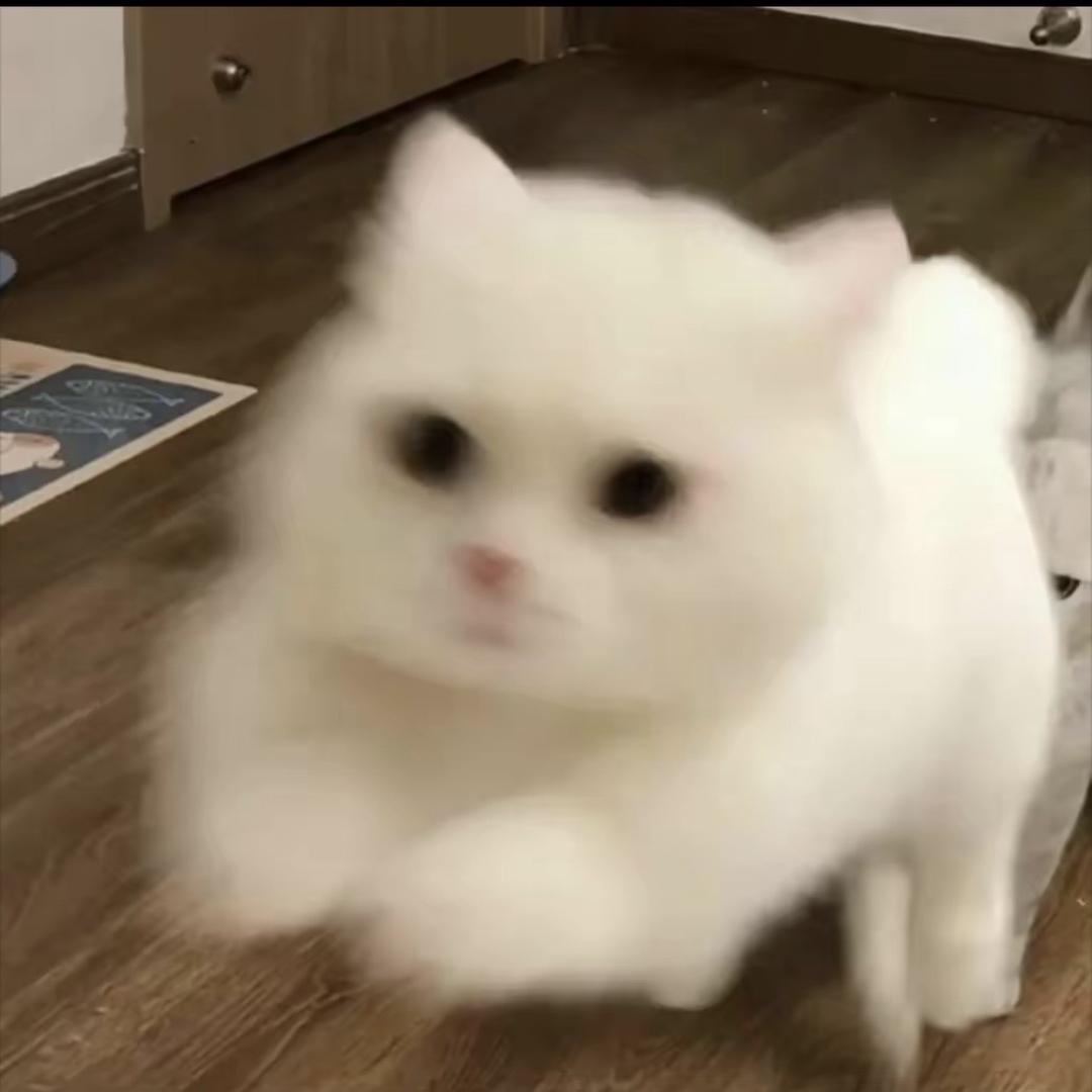 焱选素材拍摄