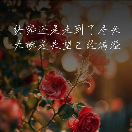 四川＆小鱼儿