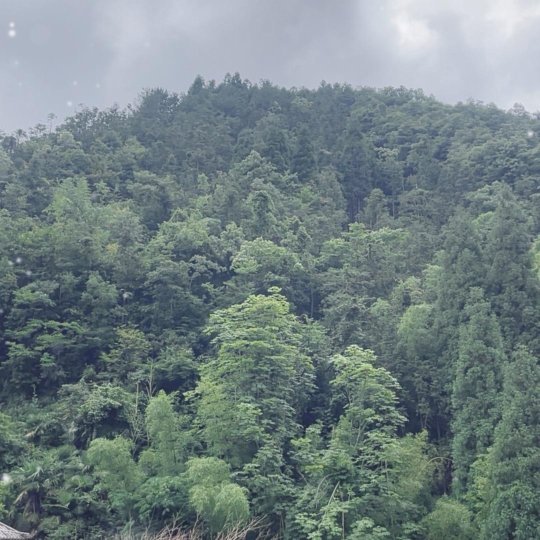 药王山挖一挖