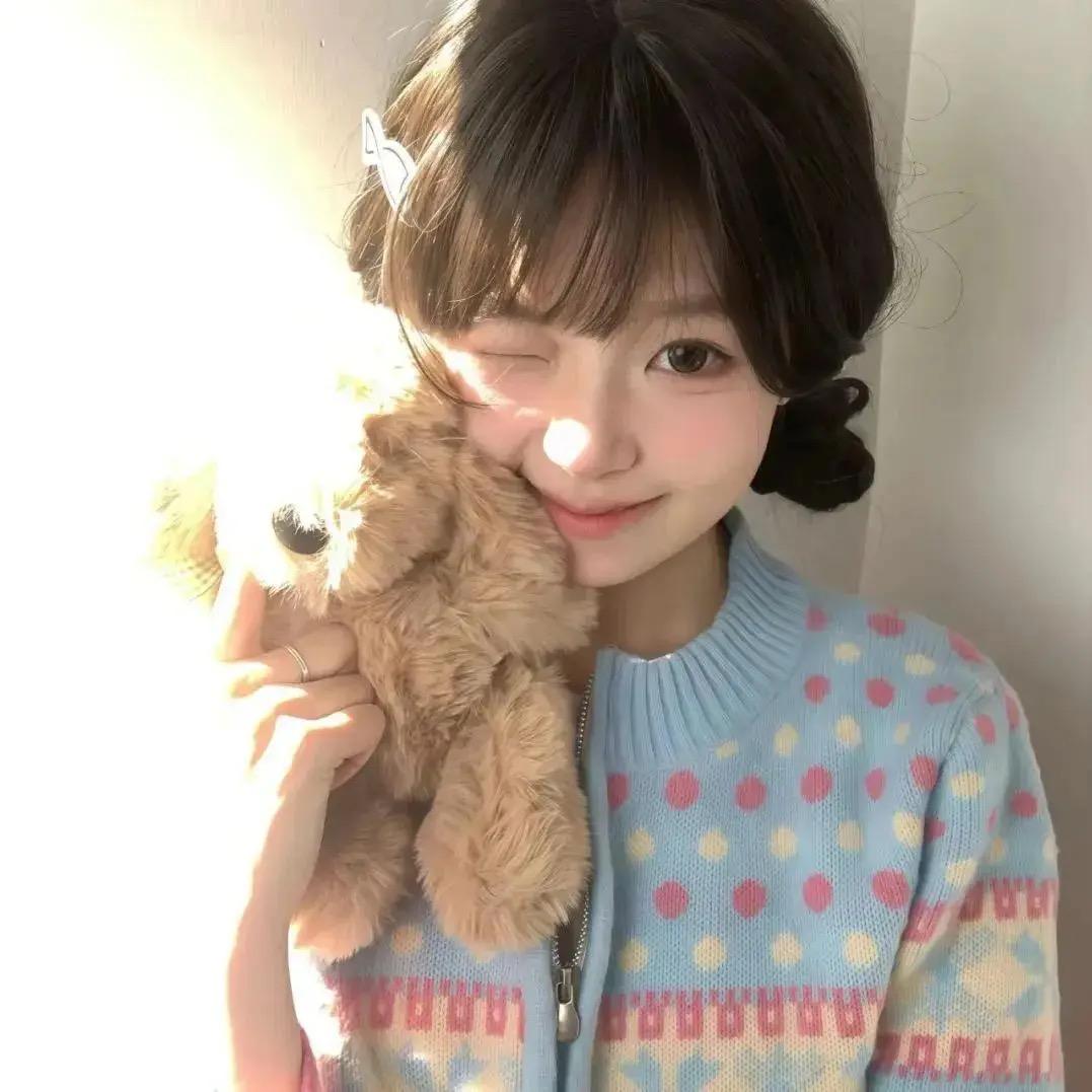 胖胖熊