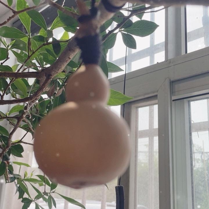 亿阳百货