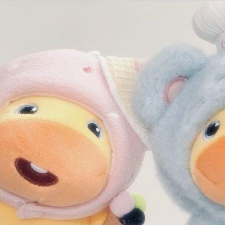 圆圈拌酱宝啦✨