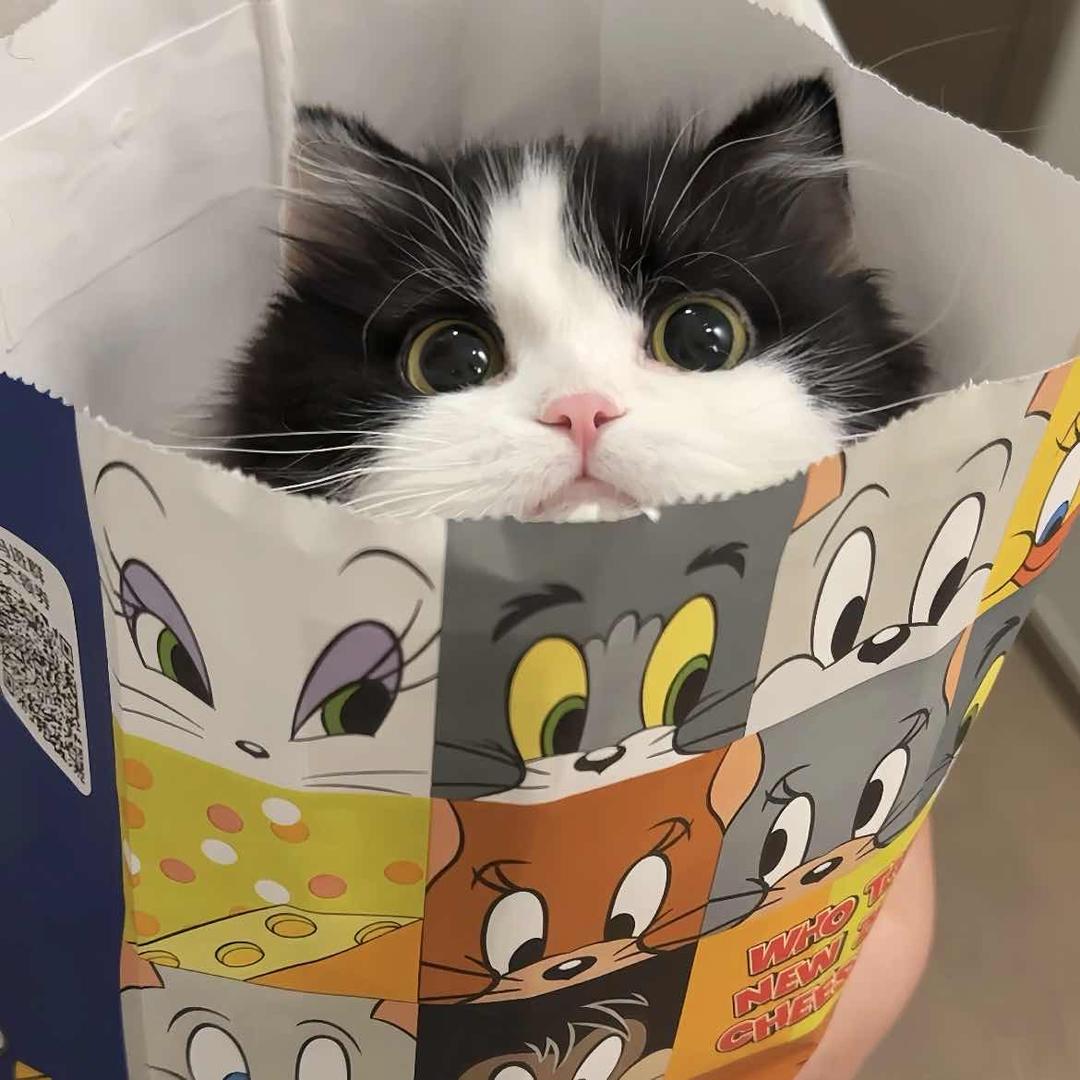 阿粒（见过三次老薛版）