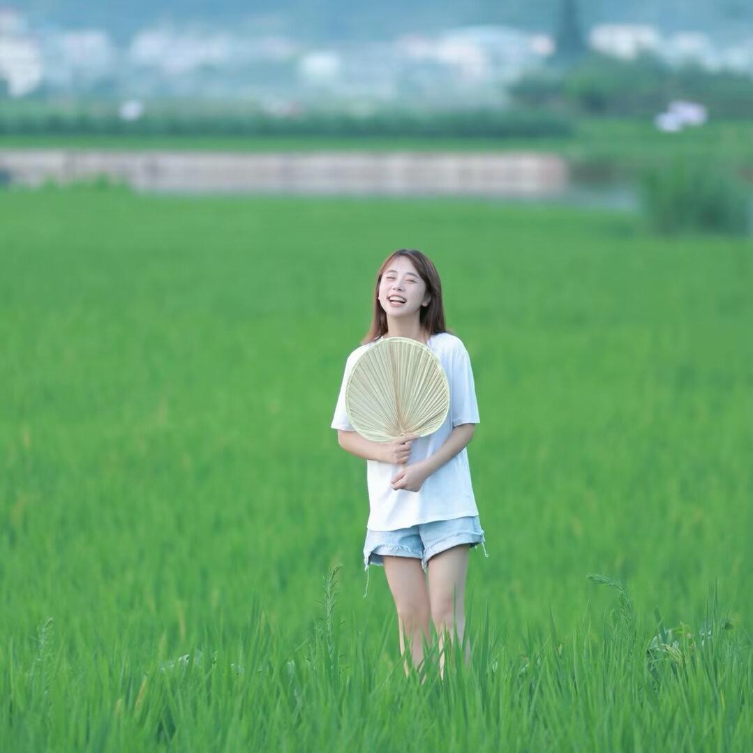 小马儿