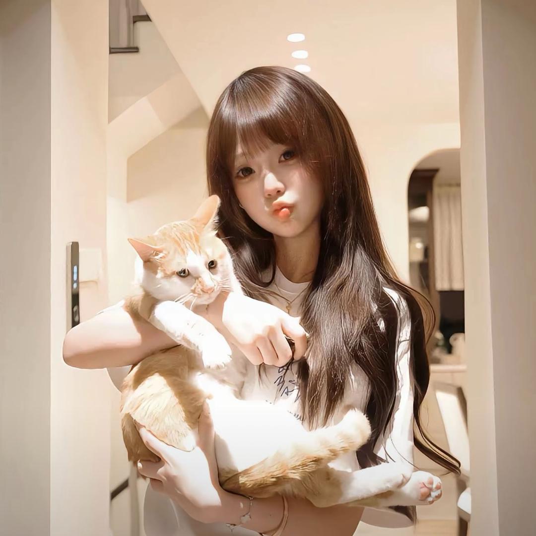 总摸鱼