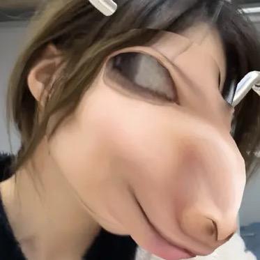 百折不挠