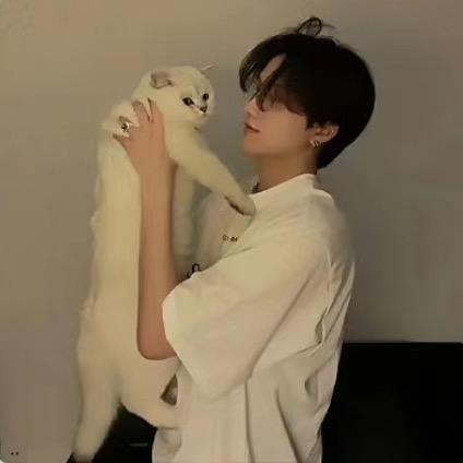 小猫腻