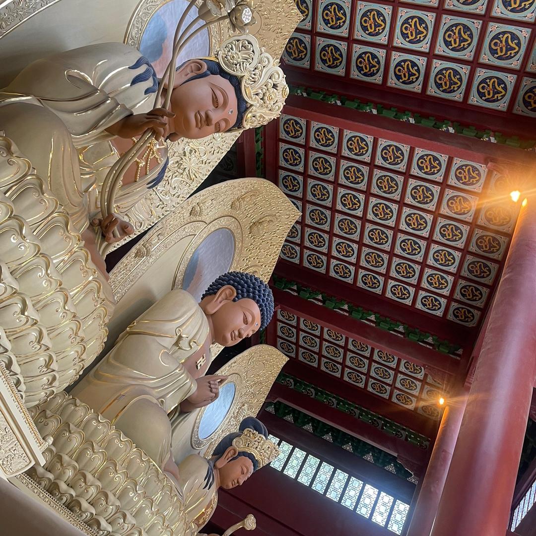 直销尼龙管树脂管🤗