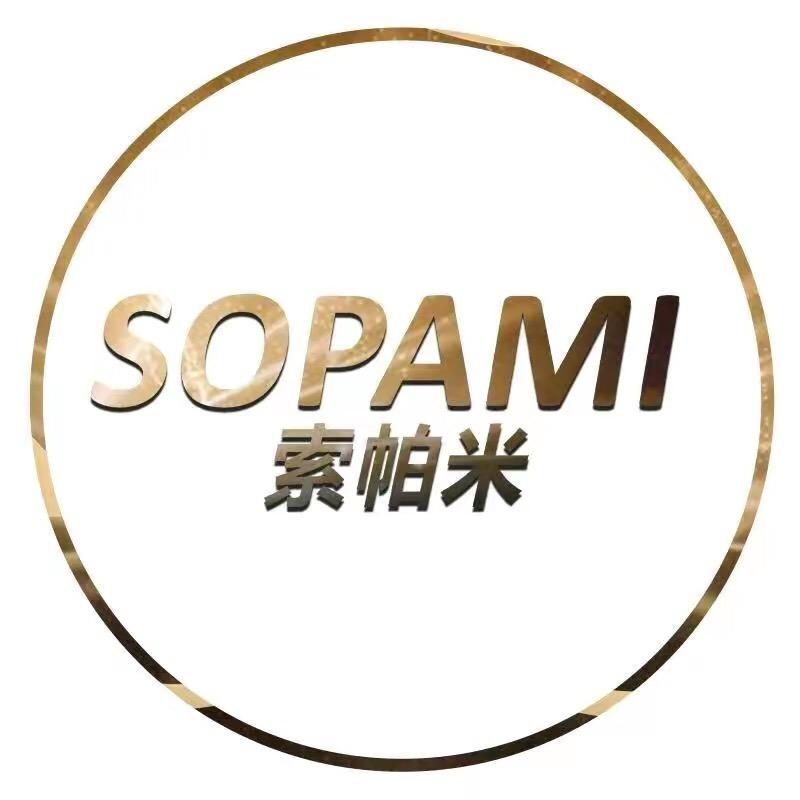 sopami汽车清洁吸尘器
