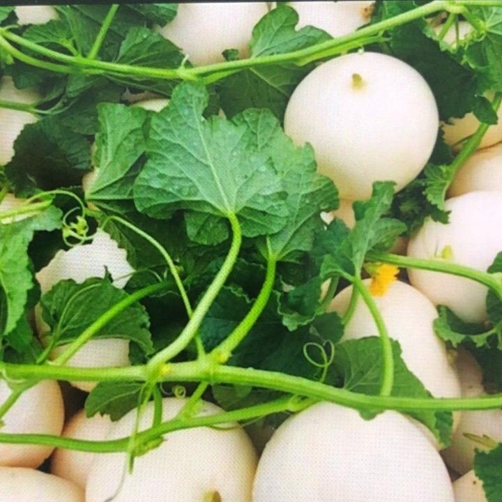 匠心鸿运
