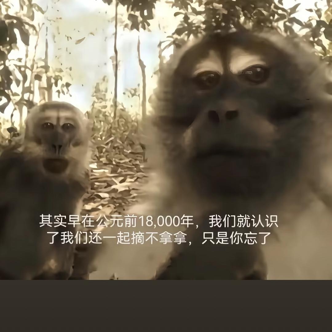 ！