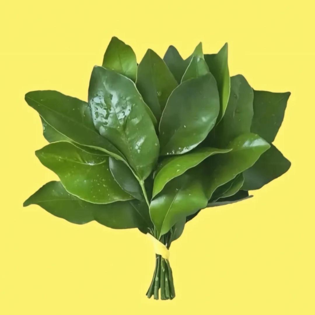 冯蜜柚子茶🍵